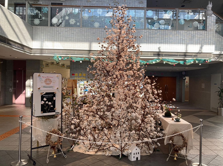 阪南コットンワークス