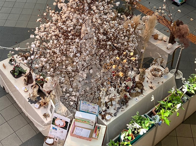 阪南コットンワークス