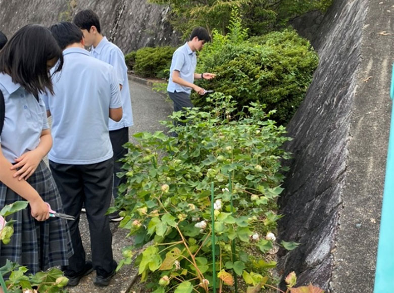 奈良県立国際中学校・高等学校