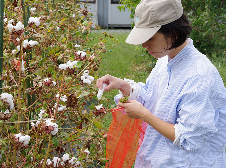 おんど/おうみこっとん夢つむぎ